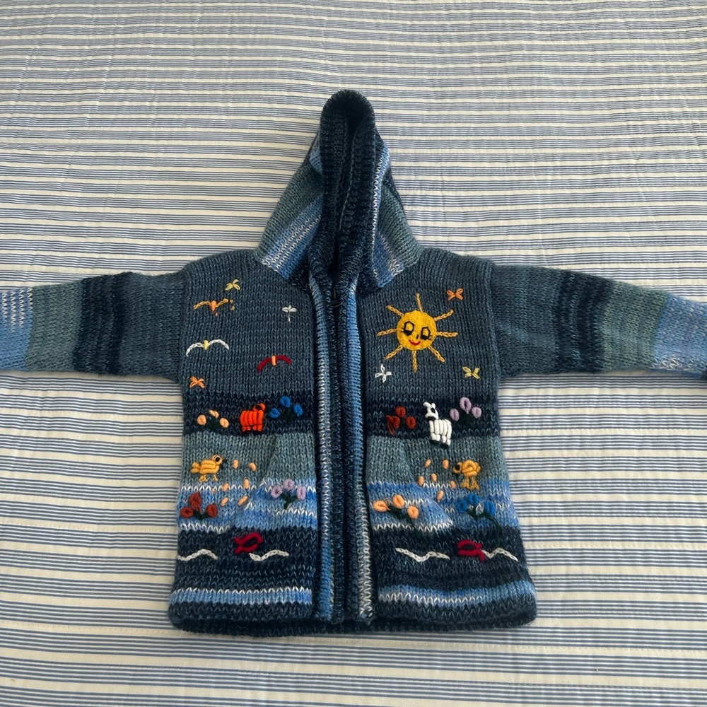 Colorful Knit Hooded Sweater